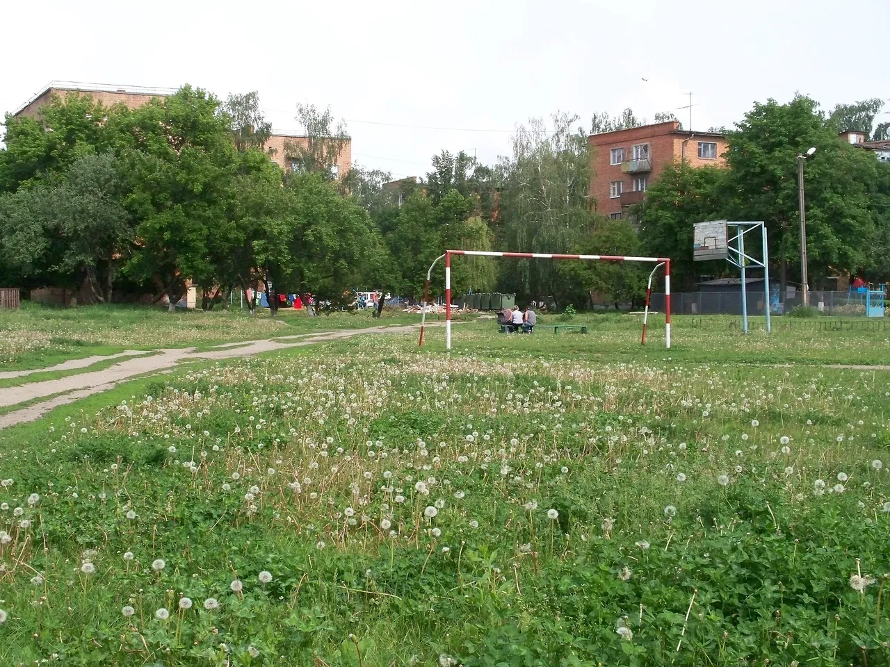 Двір у Хіммістечку